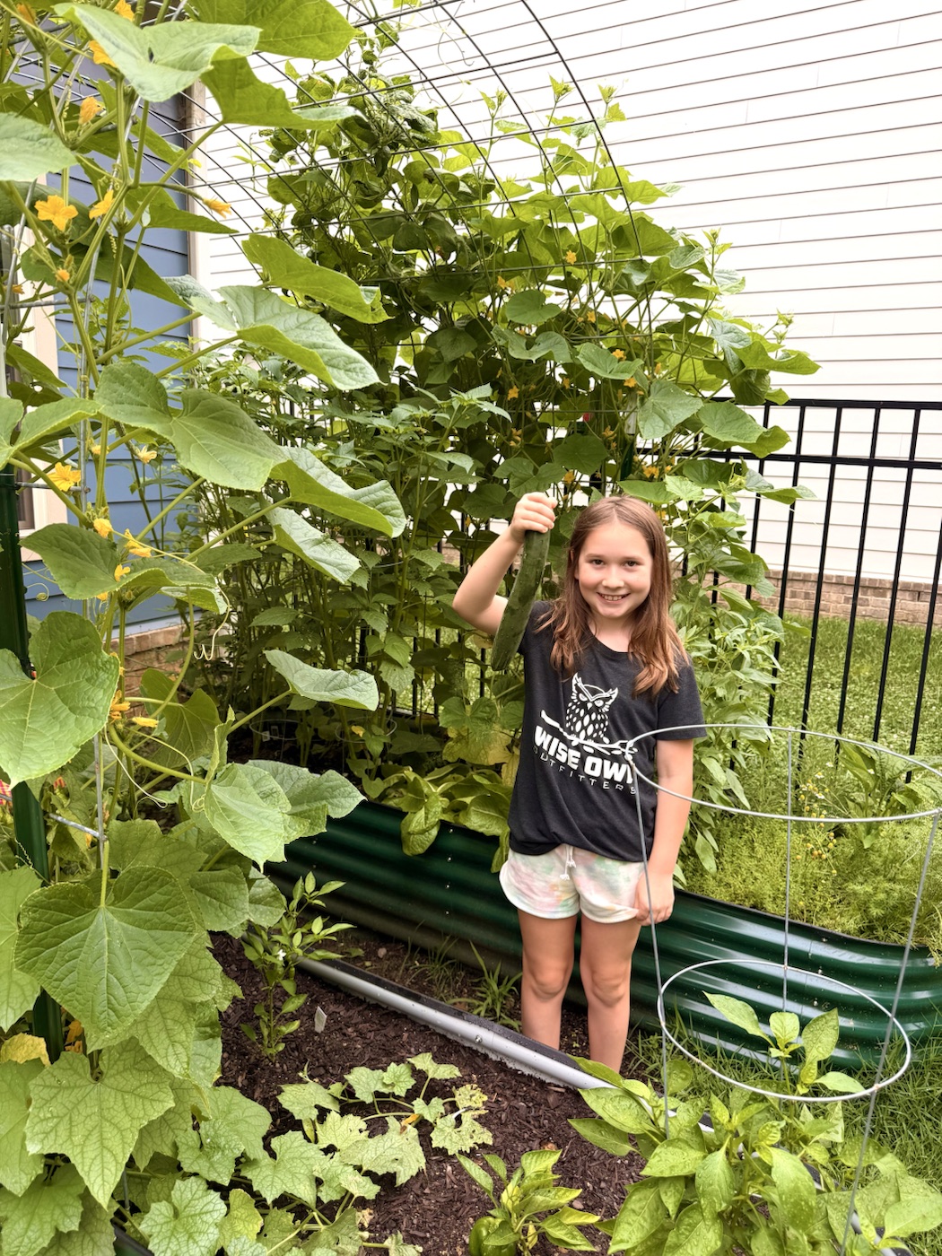 A child proudly holding a freshly picked cucumber in the garden