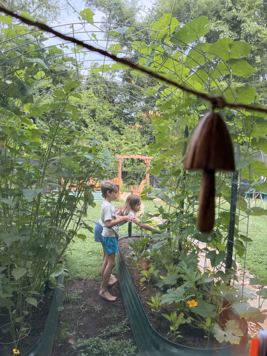 Children checking plants beneath the garden arch